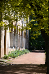 Cliquez sur la vignette pour l'agrandir